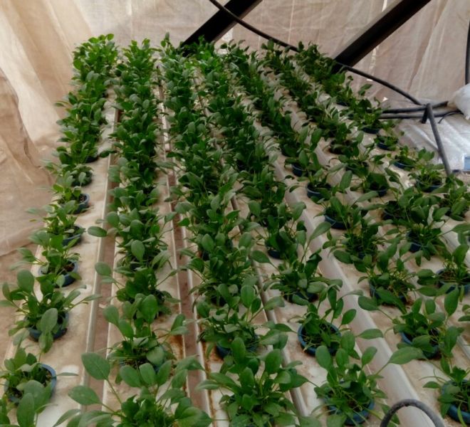 0d0bacfd-19ce-4285-b9fe-f03232d0ef8b