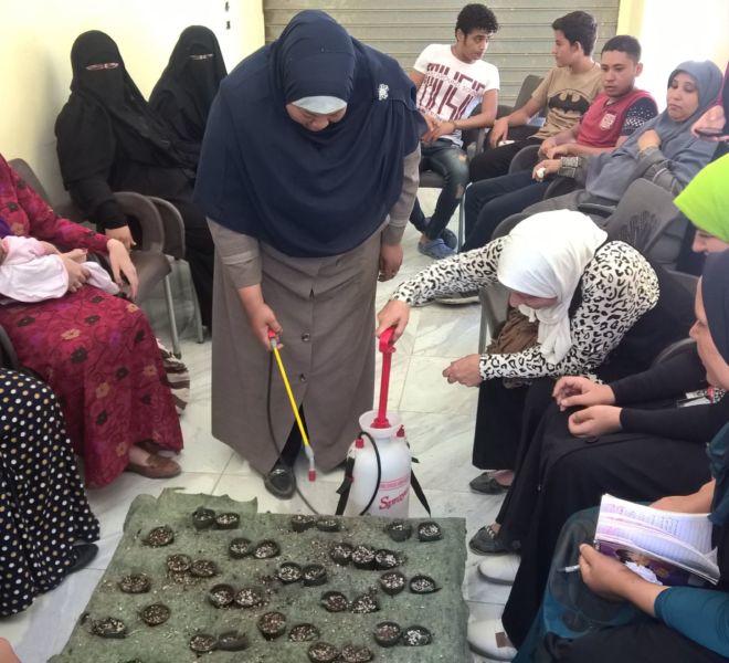 WP_20170808_11_54_44_Pro