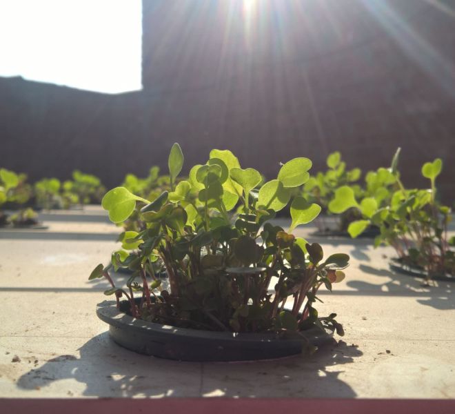 WP_20171207_14_04_51_Pro