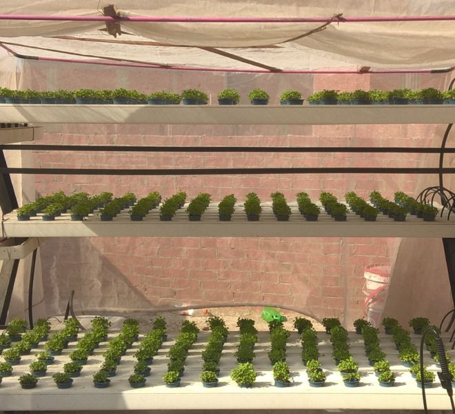 WP_20180103_11_32_24_Pro