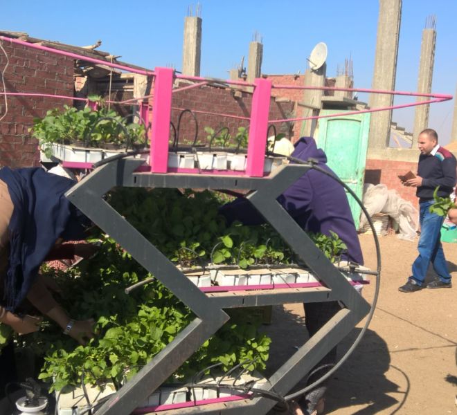 WP_20180118_11_23_15_Pro