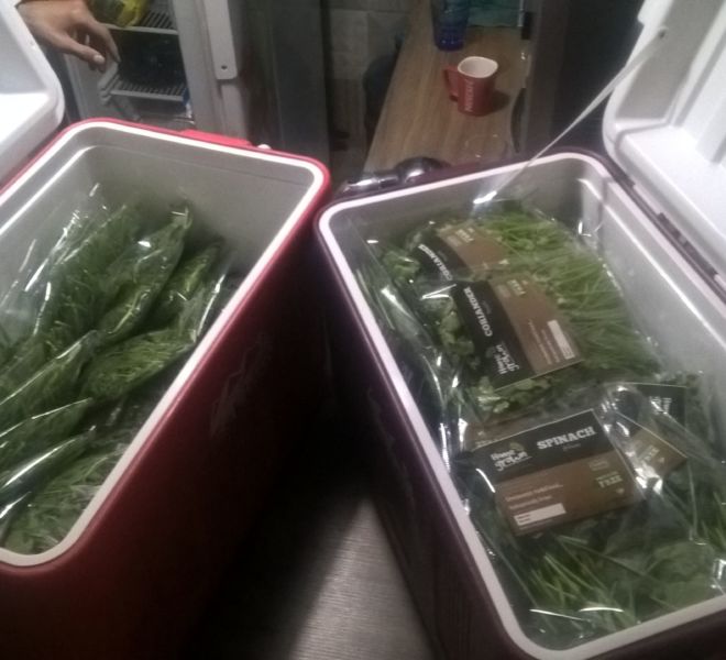 WP_20180221_17_24_15_Pro