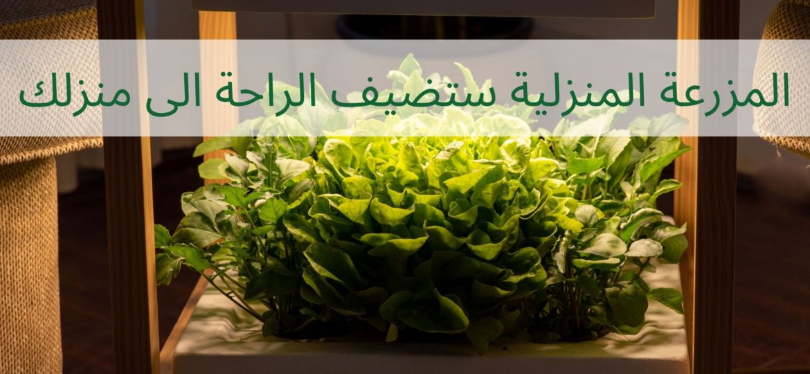 المزرعة المنزلية لبيتك