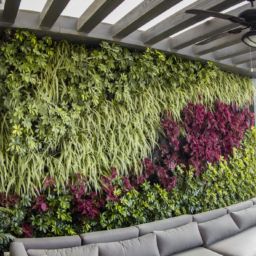 How to maintain green wall