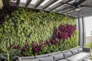 How to maintain green wall