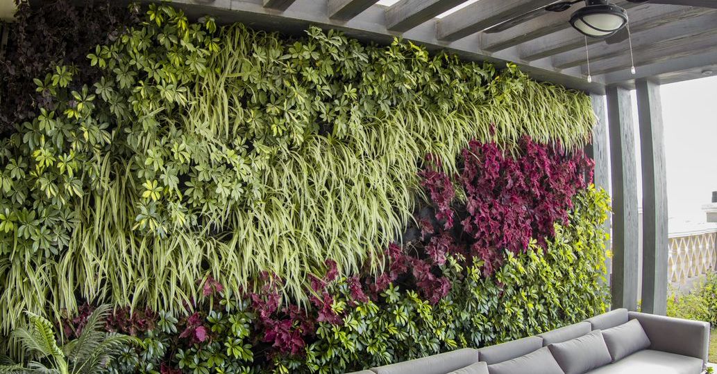 How to maintain green wall