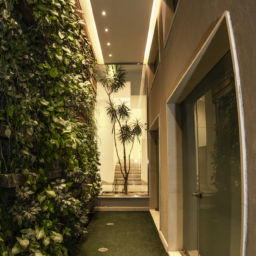 Green walls in schools