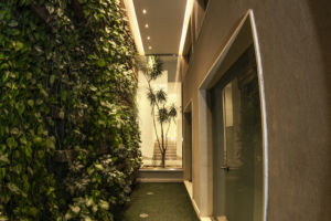 Green walls in schools