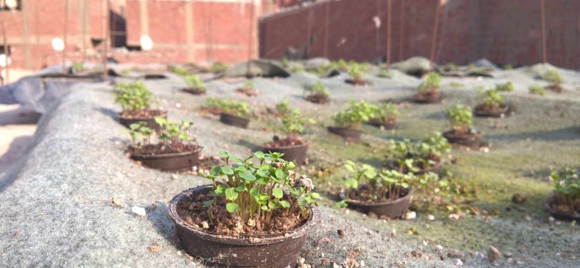 WP_20151027_14_50_27_Pro