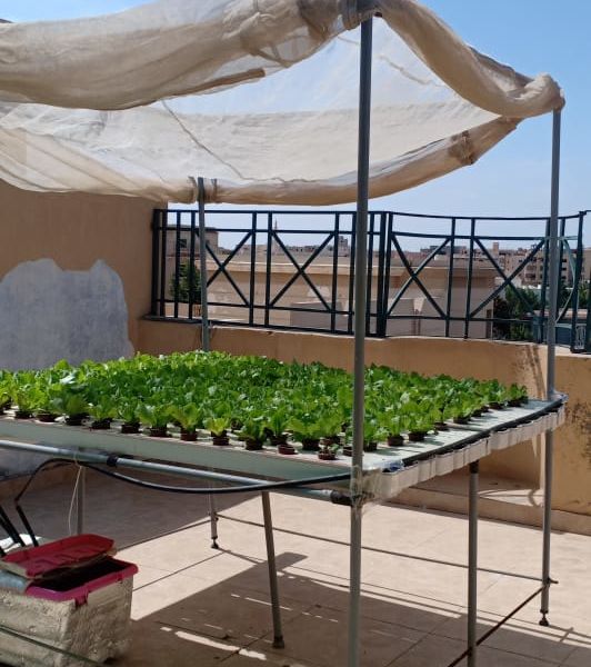 6d9d41a4-71de-43d9-8dc4-8be2a7bf7eb7