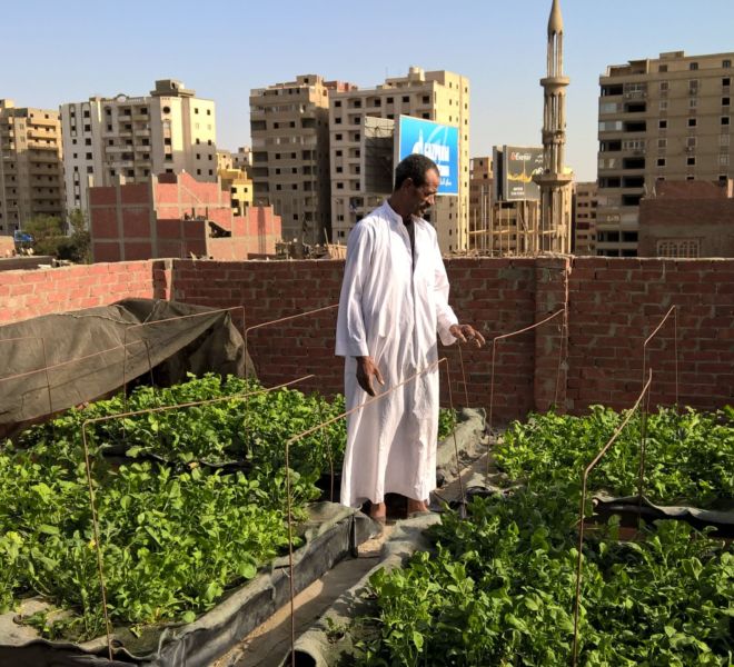 WP_20150929_15_14_21_Pro