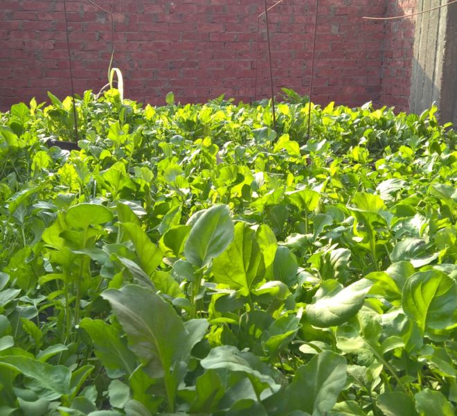 WP_20150930_15_26_56_Rich