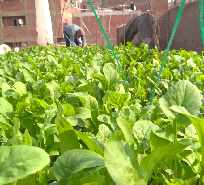 WP_20151209_12_29_31_Pro