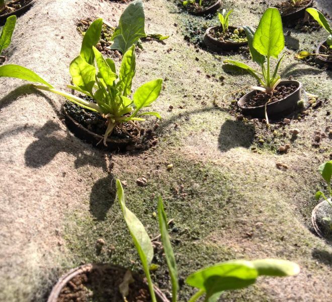 WP_20151228_12_50_01_Pro