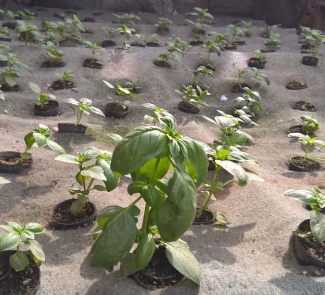 WP_20160302_09_37_38_Pro