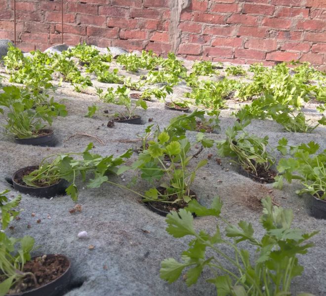 WP_20160307_14_34_17_Pro