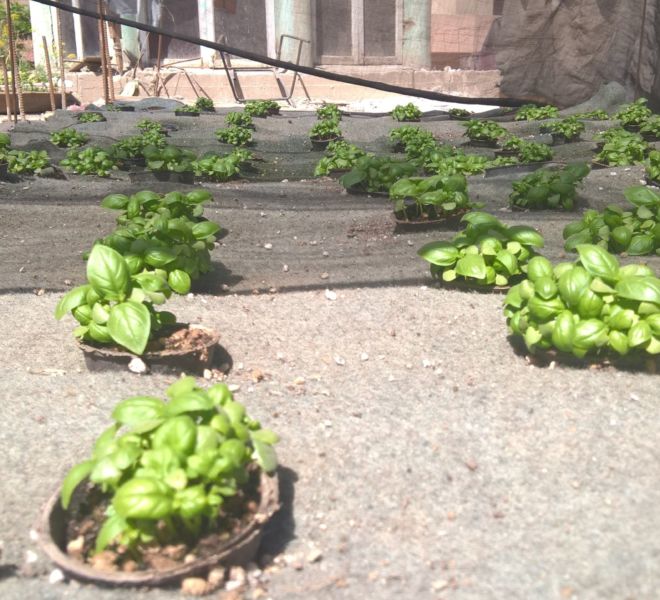 WP_20160310_13_02_12_Pro