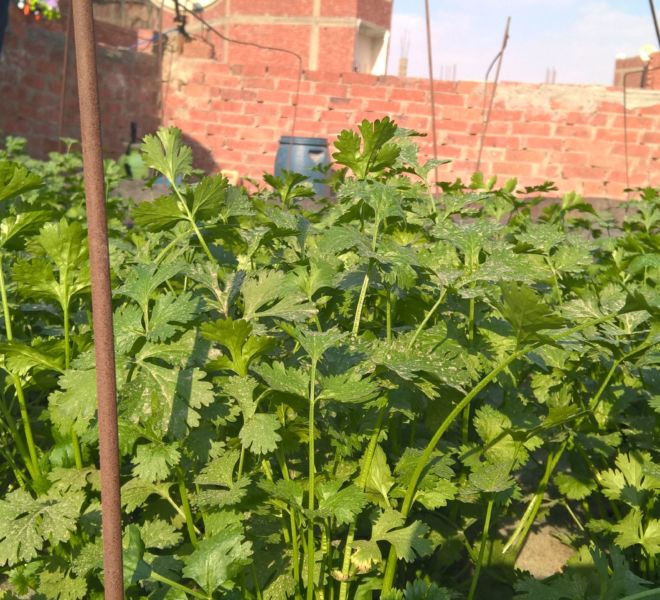 WP_20160327_15_49_19_Pro