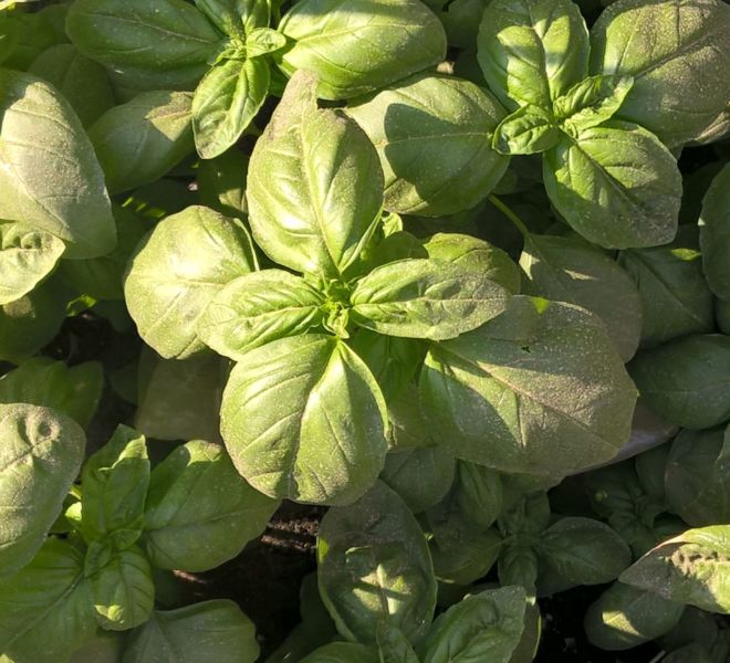 WP_20160411_16_27_21_Pro