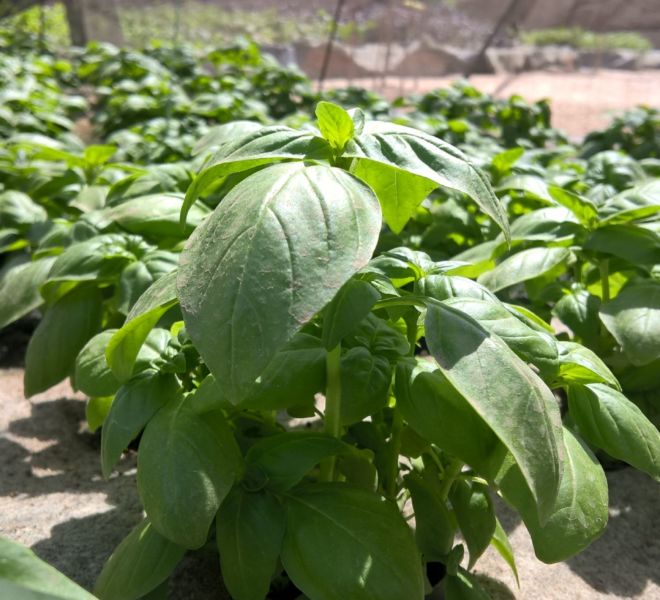 WP_20160530_13_49_06_Pro