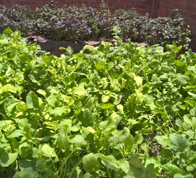 WP_20160620_12_24_23_Pro