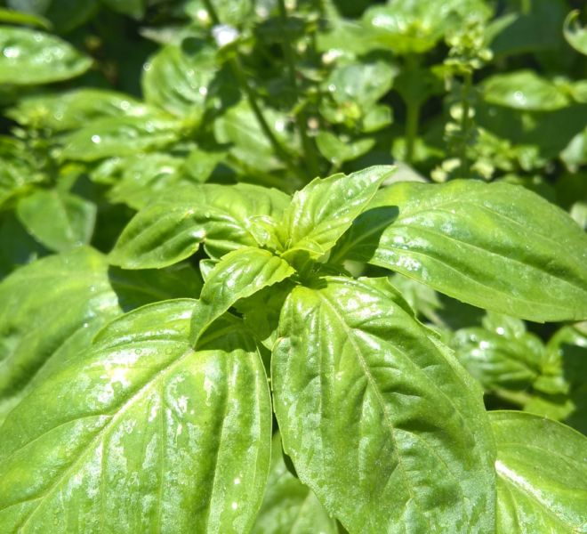 WP_20160703_11_45_22_Pro