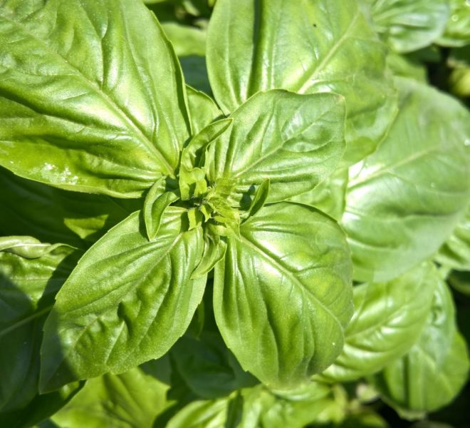 WP_20160709_13_25_11_Pro