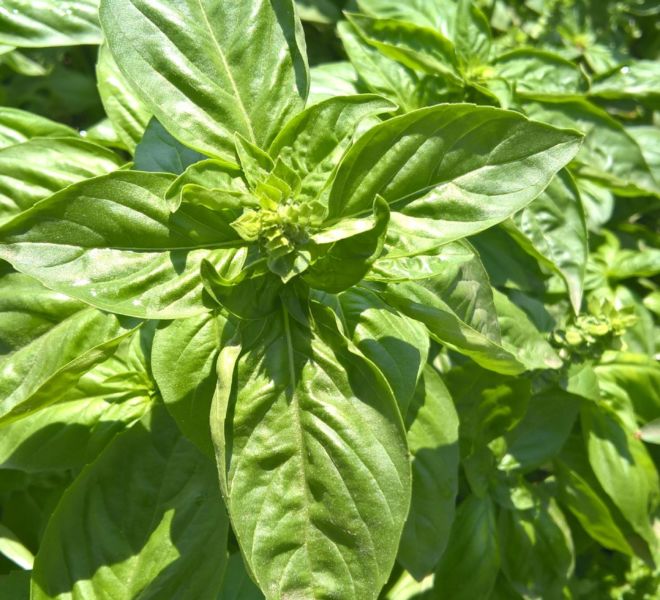 WP_20160709_13_25_18_Pro