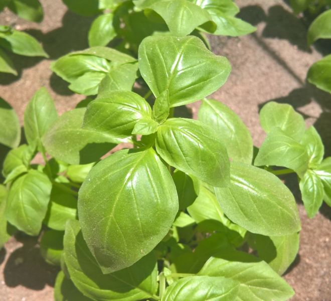 WP_20160711_11_27_31_Pro