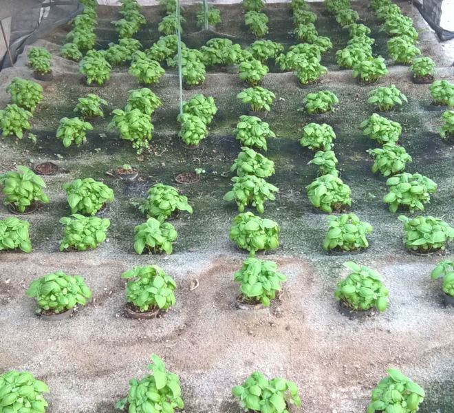 WP_20160820_18_06_47_Pro