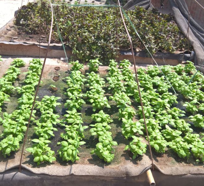 WP_20160823_11_21_53_Pro