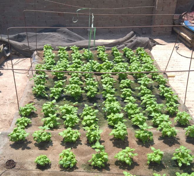 WP_20160823_11_22_21_Pro