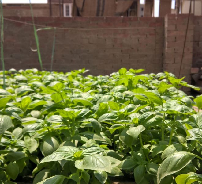 WP_20160830_11_29_32_Pro