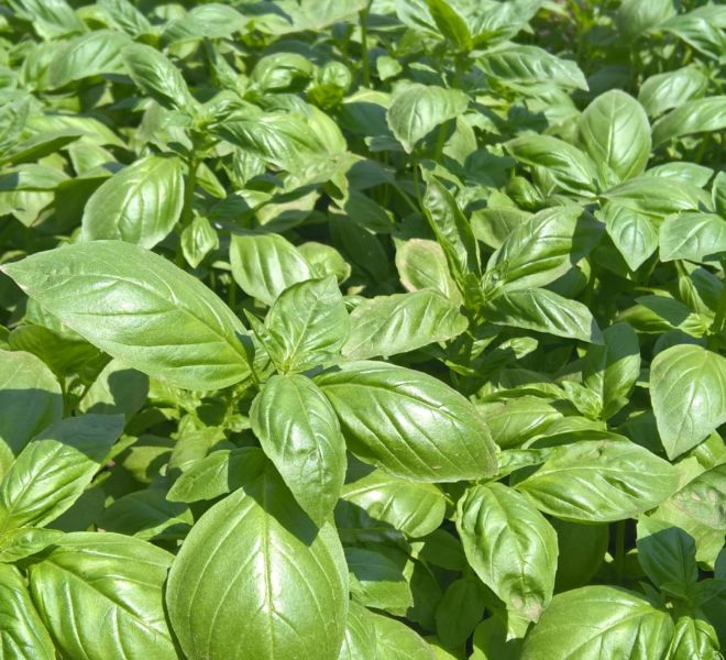 WP_20160903_13_15_37_Pro