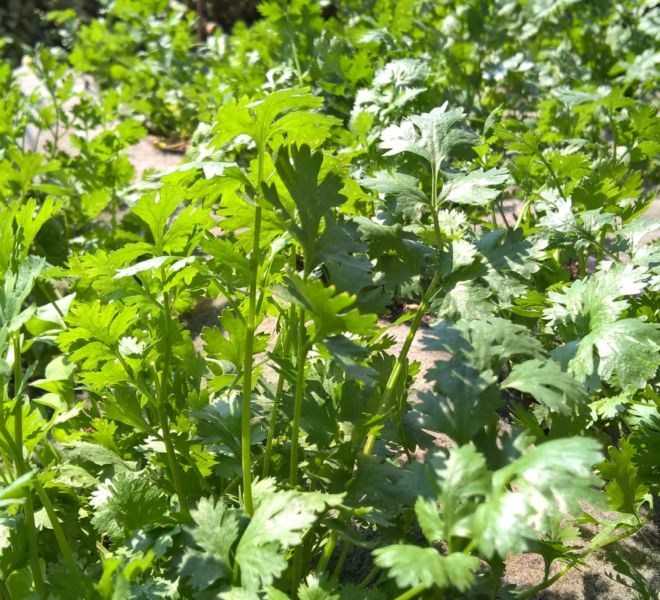 WP_20160906_09_56_28_Pro