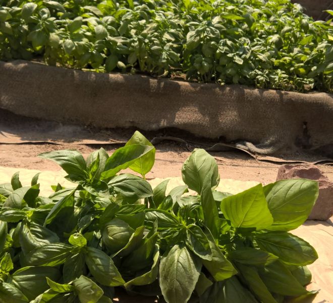 WP_20160906_11_27_30_Pro