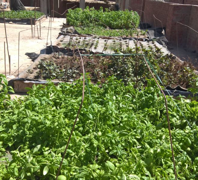 WP_20160920_11_09_11_Pro