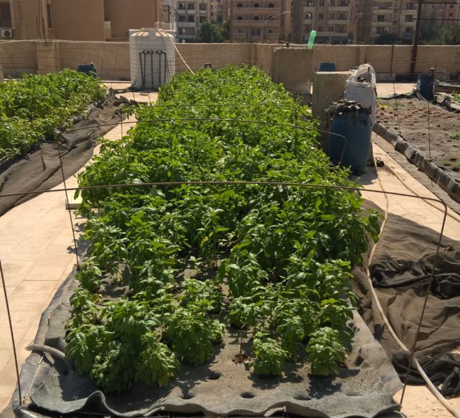 WP_20160926_10_38_58_Pro