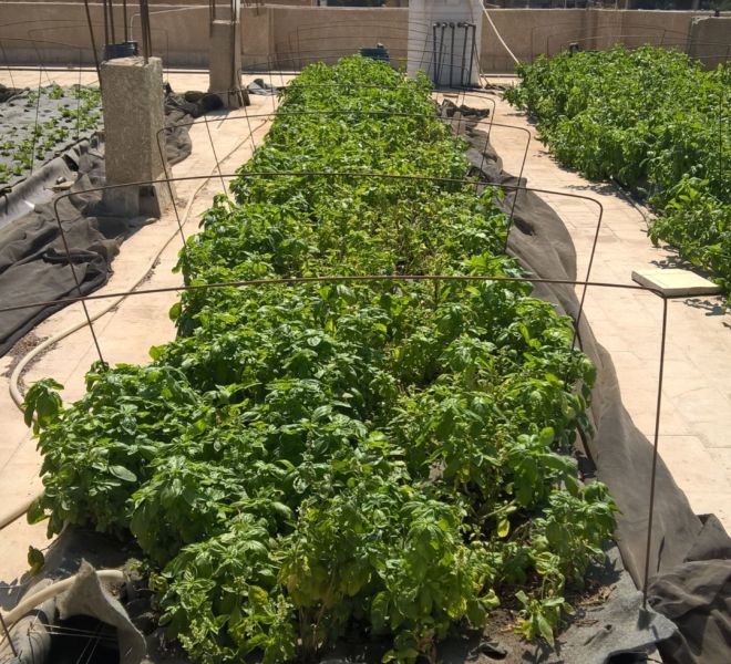 WP_20160926_10_39_07_Pro