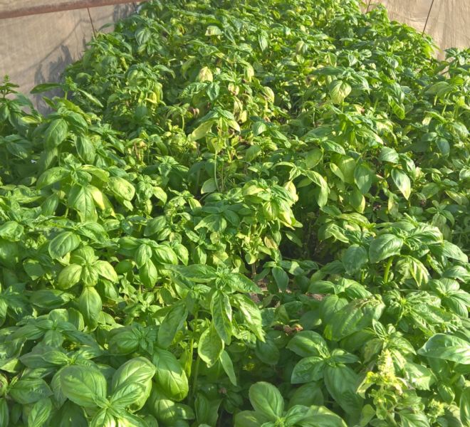 WP_20161017_15_05_48_Pro