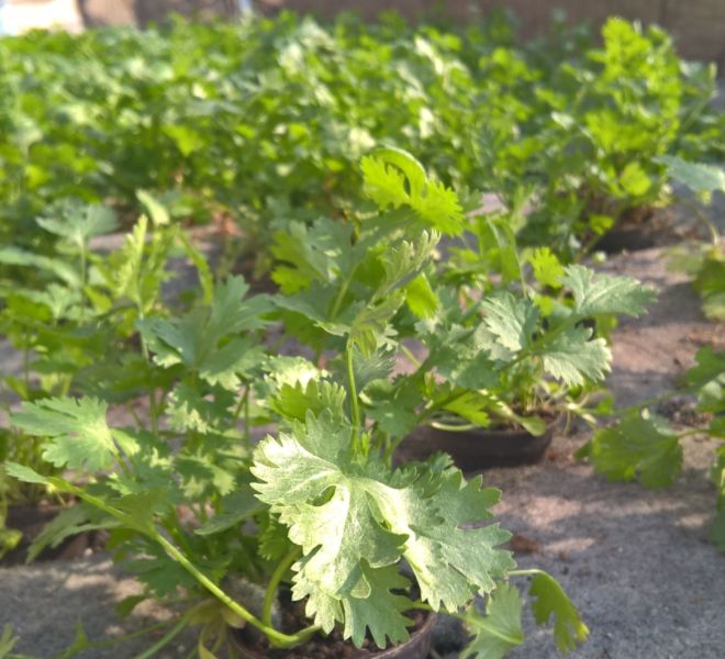 WP_20161017_15_08_20_Pro