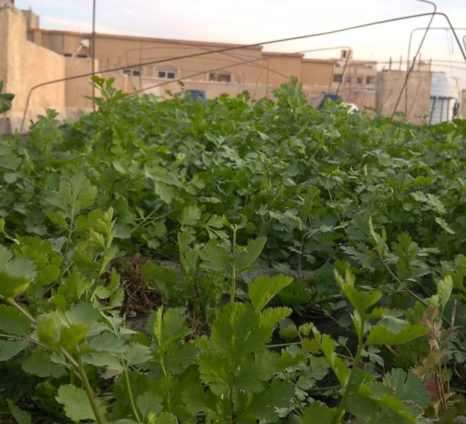 WP_20170111_16_44_38_Pro