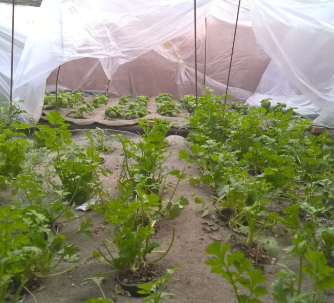 WP_20170112_15_44_52_Pro