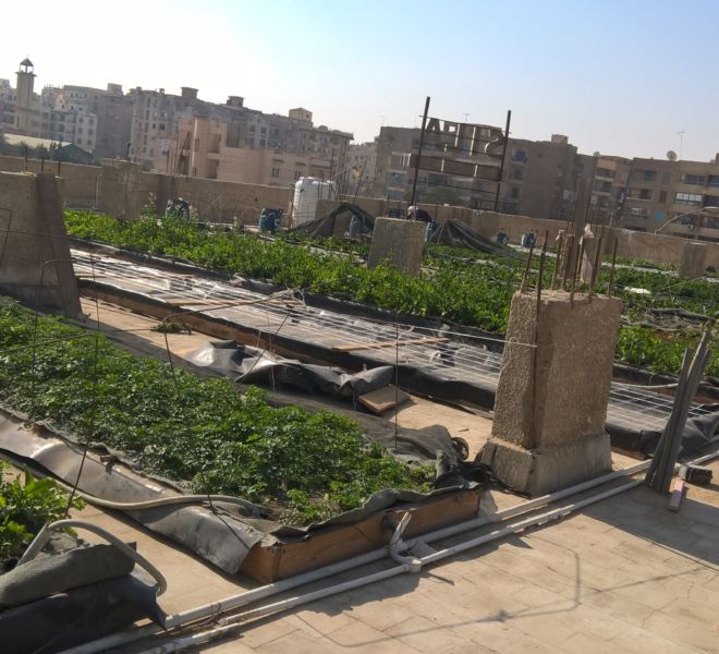 WP_20170130_10_26_00_Pro