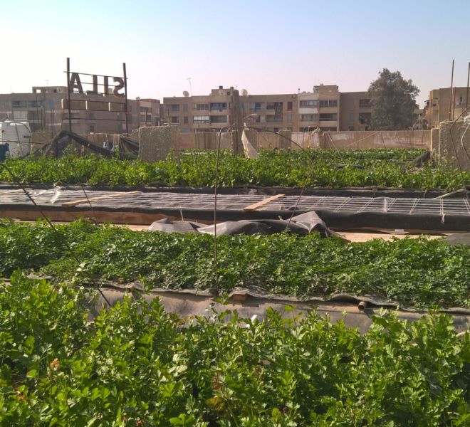 WP_20170130_10_26_20_Pro