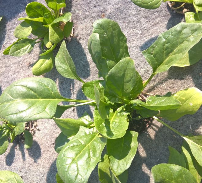 WP_20170130_10_34_43_Pro