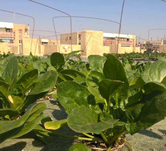 WP_20170130_10_35_24_Pro