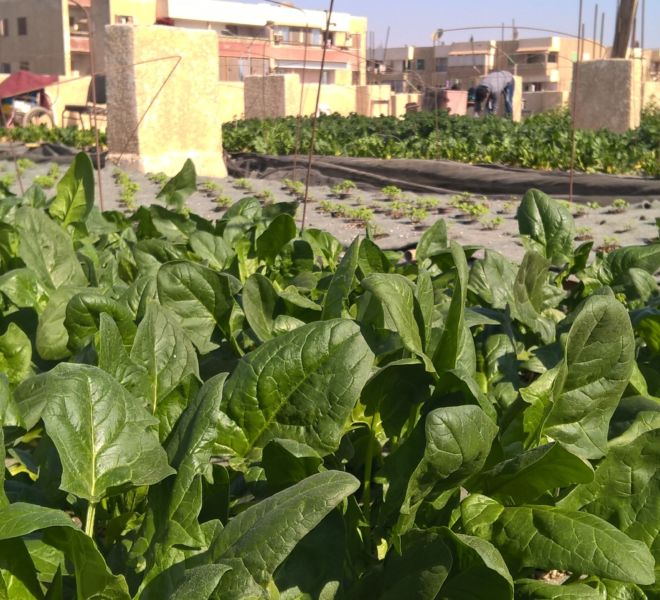 WP_20170213_10_11_39_Pro