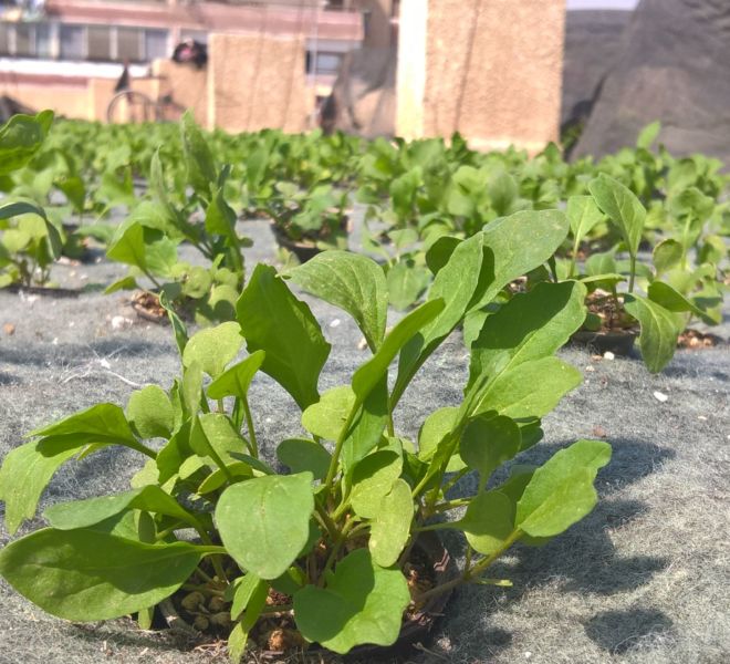 WP_20170225_13_12_16_Pro