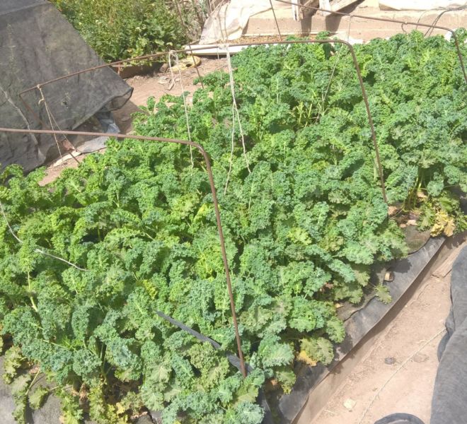 WP_20180306_10_54_15_Pro